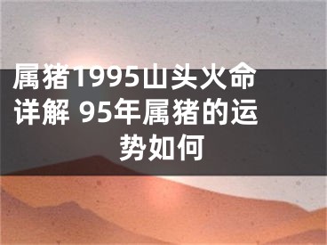 属猪1995山头火命详解 95年属猪的运势如何