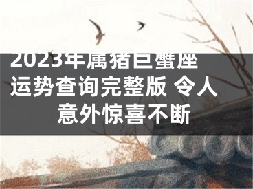 2023年属猪巨蟹座运势查询完整版 令人意外惊喜不断