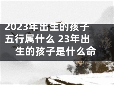 2023年出生的孩子五行属什么 23年出生的孩子是什么命