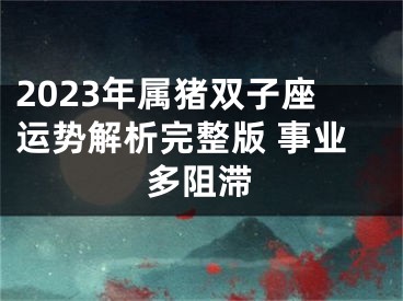 2023年属猪双子座运势解析完整版 事业多阻滞