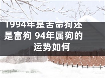 1994年是苦命狗还是富狗 94年属狗的运势如何