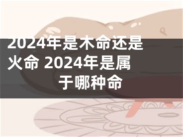 2024年是木命还是火命 2024年是属于哪种命