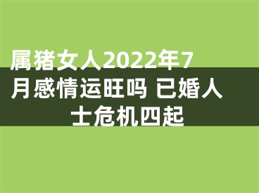 属猪女人2022年7月感情运旺吗 已婚人士危机四起