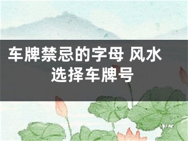 车牌禁忌的字母 风水选择车牌号