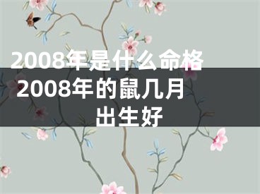 2008年是什么命格 2008年的鼠几月出生好