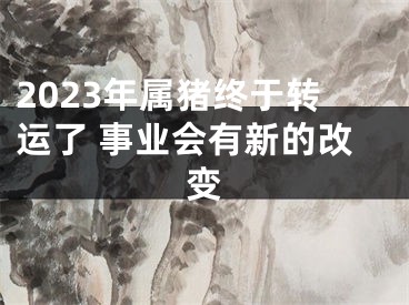 2023年属猪终于转运了 事业会有新的改变