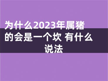 为什么2023年属猪的会是一个坎 有什么说法