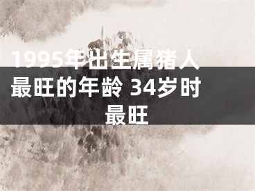 1995年出生属猪人最旺的年龄 34岁时最旺