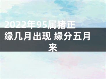 2022年95属猪正缘几月出现 缘分五月来