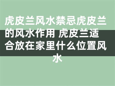 虎皮兰风水禁忌虎皮兰的风水作用 虎皮兰适合放在家里什么位置风水