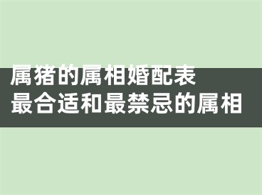 属猪的属相婚配表  最合适和最禁忌的属相