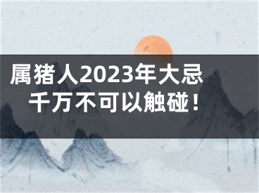 属猪人2023年大忌 千万不可以触碰！