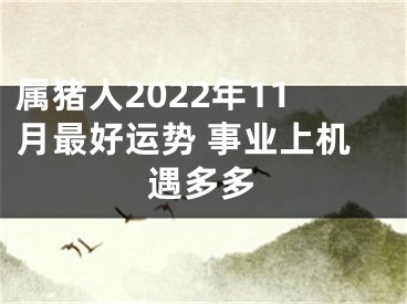 属猪人2022年11月最好运势 事业上机遇多多