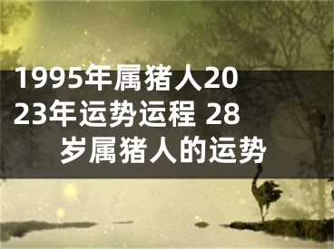 1995年属猪人2023年运势运程 28岁属猪人的运势