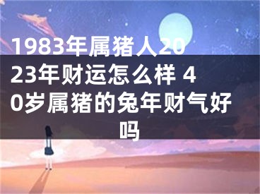 1983年属猪人2023年财运怎么样 40岁属猪的兔年财气好吗