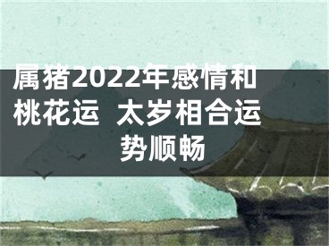 属猪2022年感情和桃花运  太岁相合运势顺畅