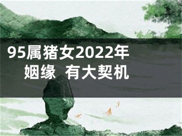 95属猪女2022年姻缘  有大契机