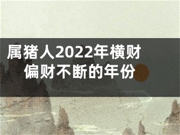 属猪人2022年横财  偏财不断的年份