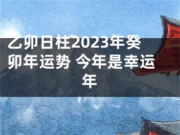 乙卯日柱2023年癸卯年运势 今年是幸运年