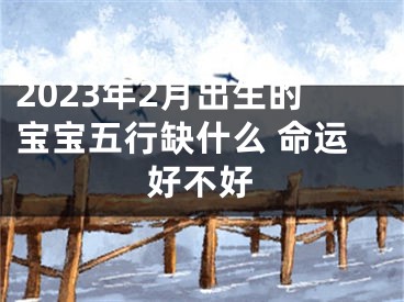 2023年2月出生的宝宝五行缺什么 命运好不好