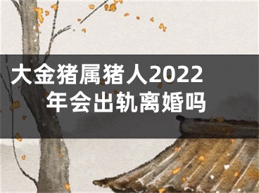 大金猪属猪人2022年会出轨离婚吗