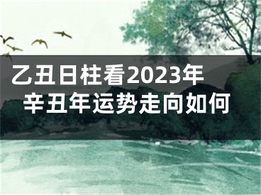 乙丑日柱看2023年辛丑年运势走向如何