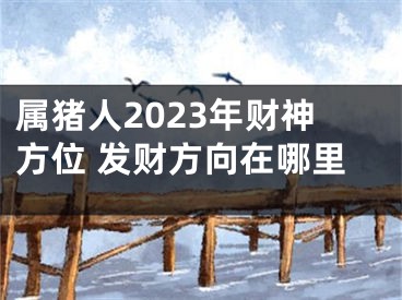 属猪人2023年财神方位 发财方向在哪里