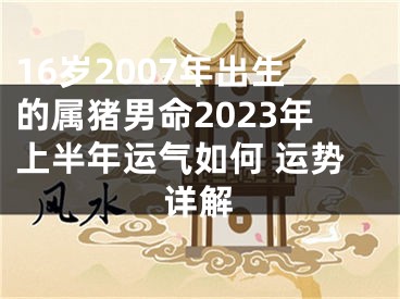 16岁2007年出生的属猪男命2023年上半年运气如何 运势详解