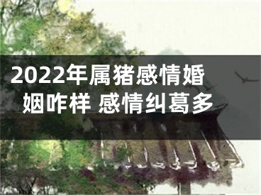 2022年属猪感情婚姻咋样 感情纠葛多