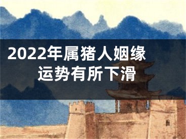 2022年属猪人姻缘 运势有所下滑