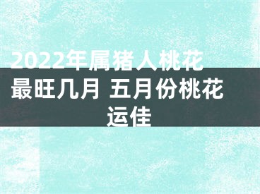 2022年属猪人桃花最旺几月 五月份桃花运佳