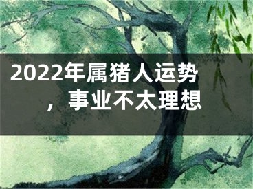 2022年属猪人运势，事业不太理想