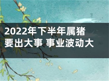 2022年下半年属猪要出大事 事业波动大