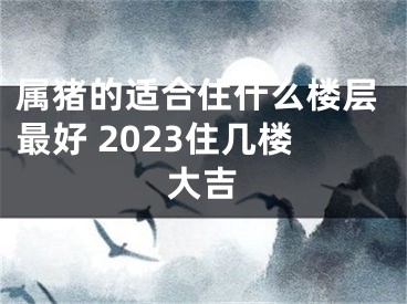 属猪的适合住什么楼层最好 2023住几楼大吉