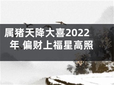 属猪天降大喜2022年 偏财上福星高照