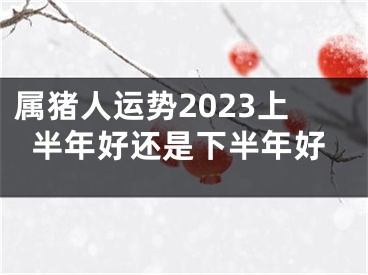 属猪人运势2023上半年好还是下半年好