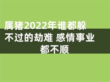 属猪2022年谁都躲不过的劫难 感情事业都不顺