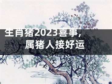 生肖猪2023喜事,属猪人接好运