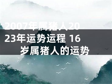 2007年属猪人2023年运势运程 16岁属猪人的运势