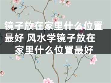 镜子放在家里什么位置最好 风水学镜子放在家里什么位置最好