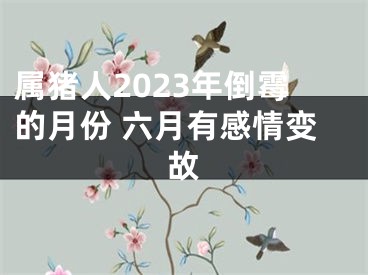 属猪人2023年倒霉的月份 六月有感情变故