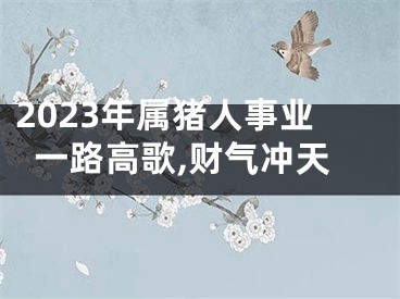 2023年属猪人事业一路高歌,财气冲天