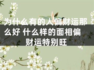 为什么有的人偏财运那么好 什么样的面相偏财运特别旺