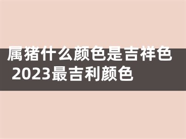 属猪什么颜色是吉祥色 2023最吉利颜色