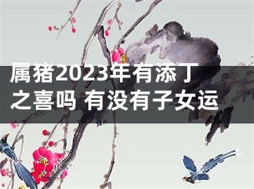 属猪2023年有添丁之喜吗 有没有子女运