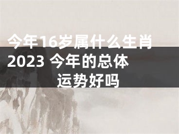 今年16岁属什么生肖2023 今年的总体运势好吗