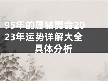 95年的属猪男命2023年运势详解大全 具体分析