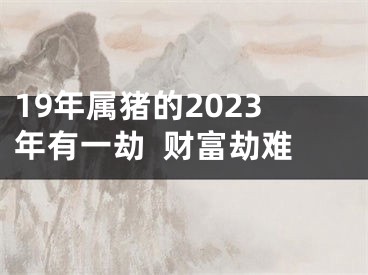 19年属猪的2023年有一劫  财富劫难