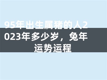 95年出生属猪的人2023年多少岁，兔年运势运程