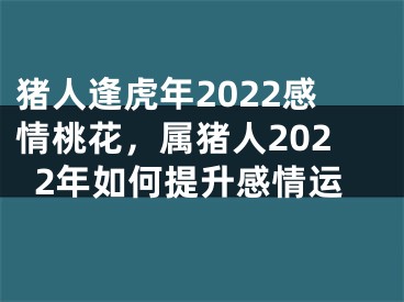 猪人逢虎年2022感情桃花，属猪人2022年如何提升感情运